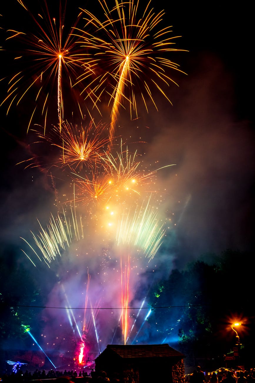 fireworks during night time